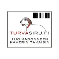 Turvsiru